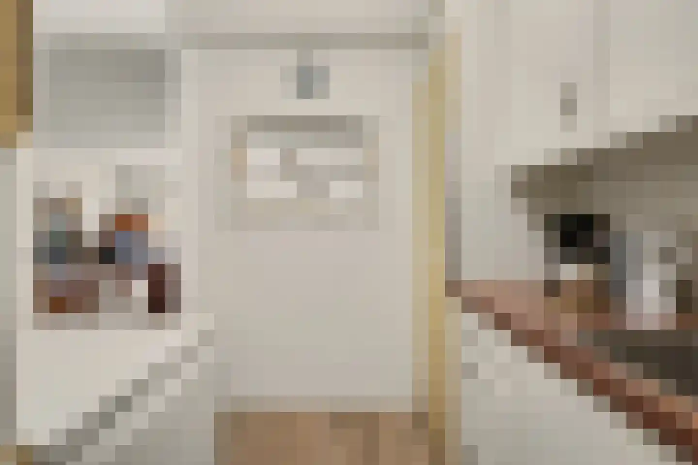 Hoogvlietlaan 12 e Rockanje thumbnail 11