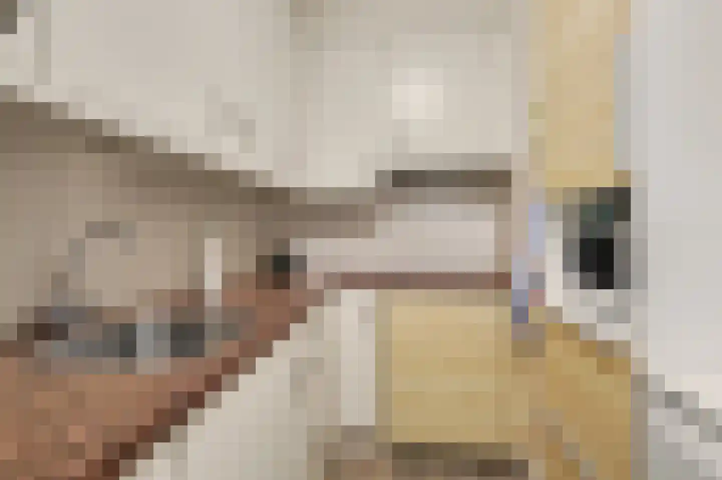 Hoogvlietlaan 12 e Rockanje thumbnail 12