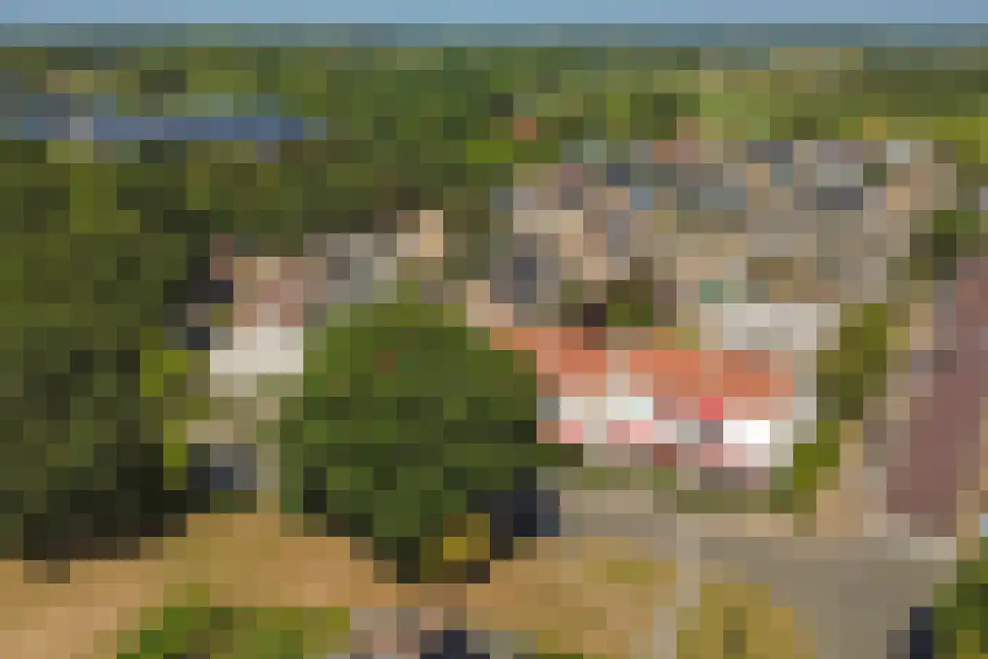 Hoogvlietlaan 12 e Rockanje thumbnail 32