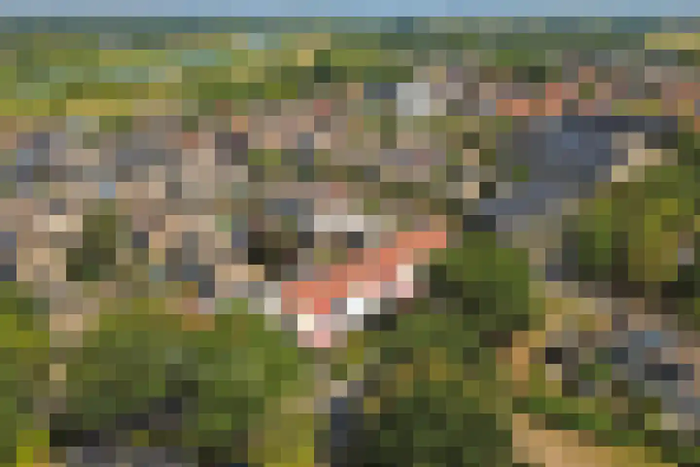 Hoogvlietlaan 12 e Rockanje thumbnail 33