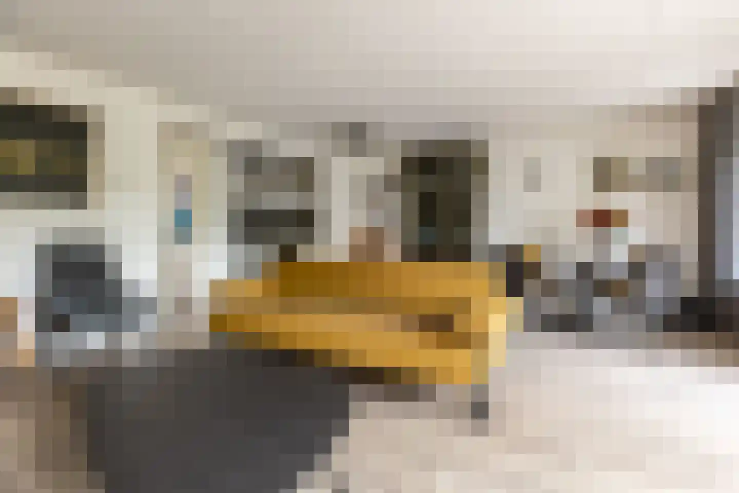 Hoogvlietlaan 12 f Rockanje thumbnail 10