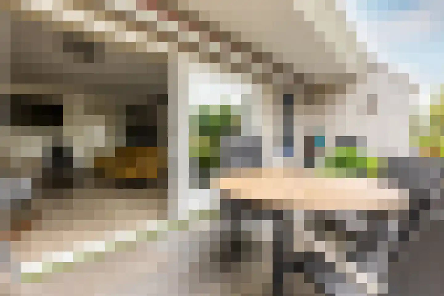 Hoogvlietlaan 12 f Rockanje thumbnail 17
