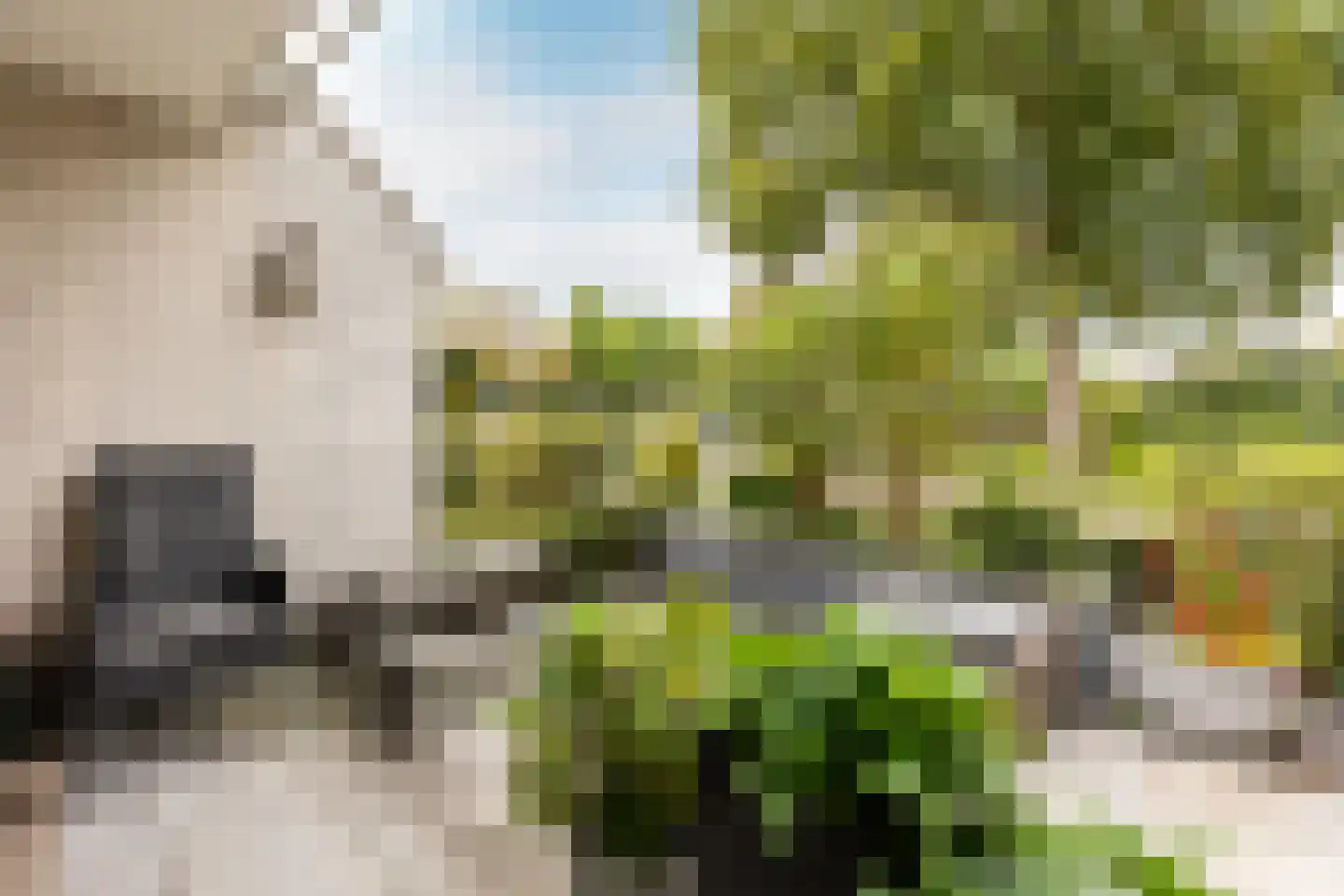 Hoogvlietlaan 12 f Rockanje thumbnail 18