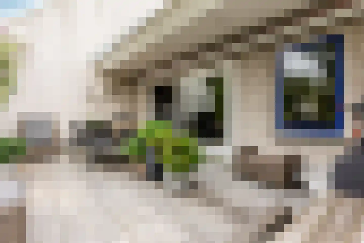 Hoogvlietlaan 12 f Rockanje thumbnail 20