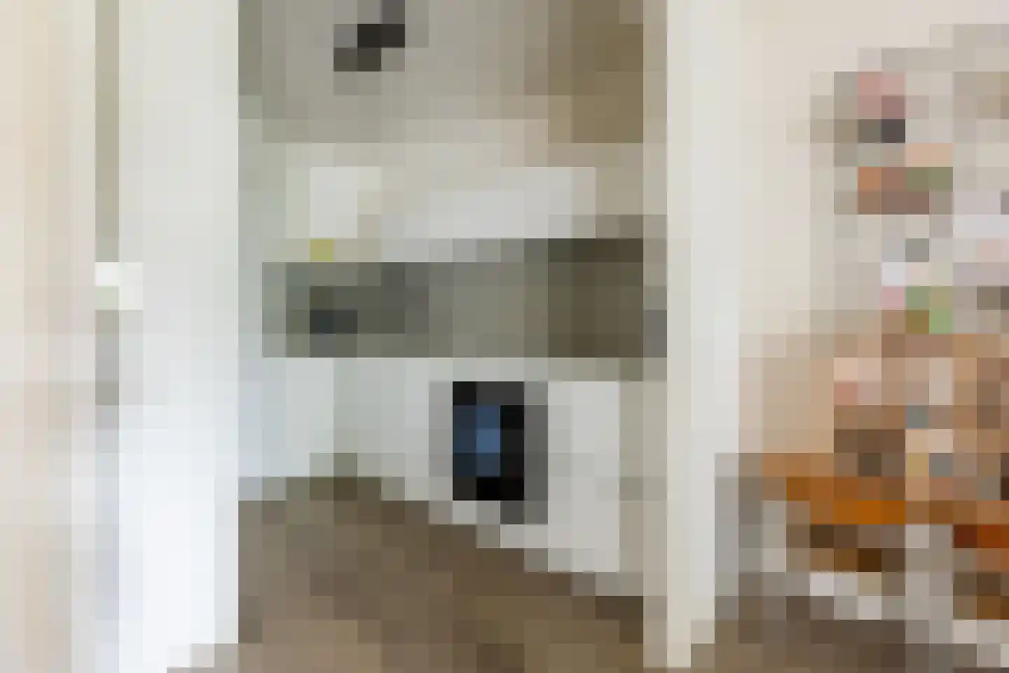 Hoogvlietlaan 12 f Rockanje thumbnail 24