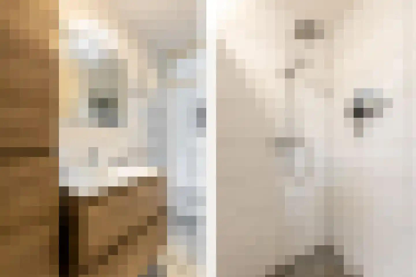 Hoogvlietlaan 12 f Rockanje thumbnail 30