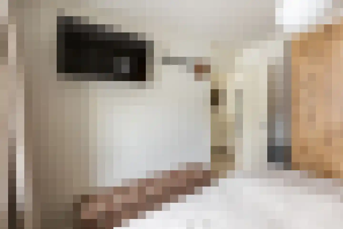 Hoogvlietlaan 12 f Rockanje thumbnail 37
