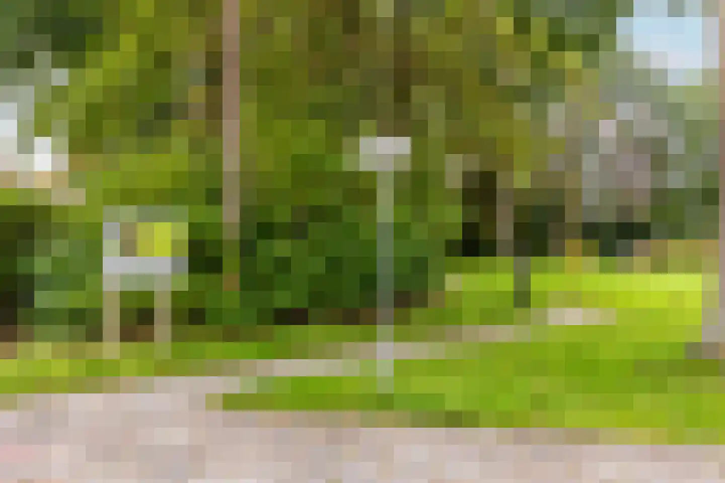 Hoogvlietlaan 12 f Rockanje thumbnail 48