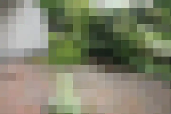 Hoogvlietlaan 12 h Rockanje thumbnail 18