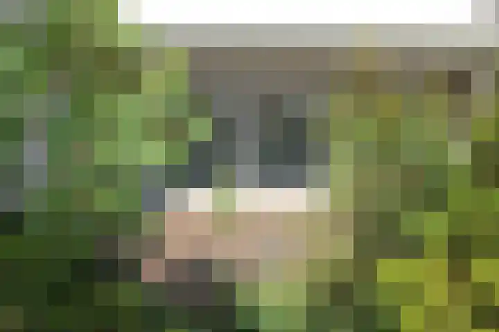 Hoogvlietlaan 12 h Rockanje thumbnail 20
