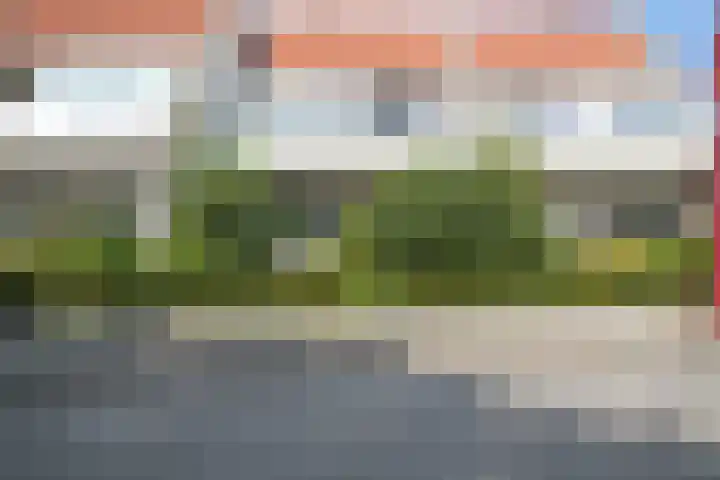 Hoogvlietlaan 12 h Rockanje thumbnail 22