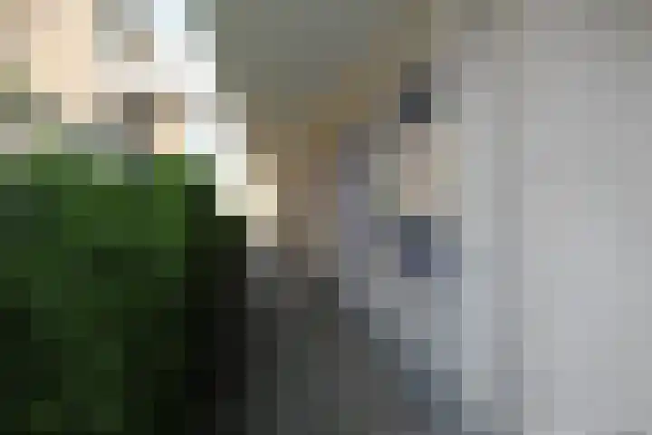 Hoogvlietlaan 12 h Rockanje thumbnail 24