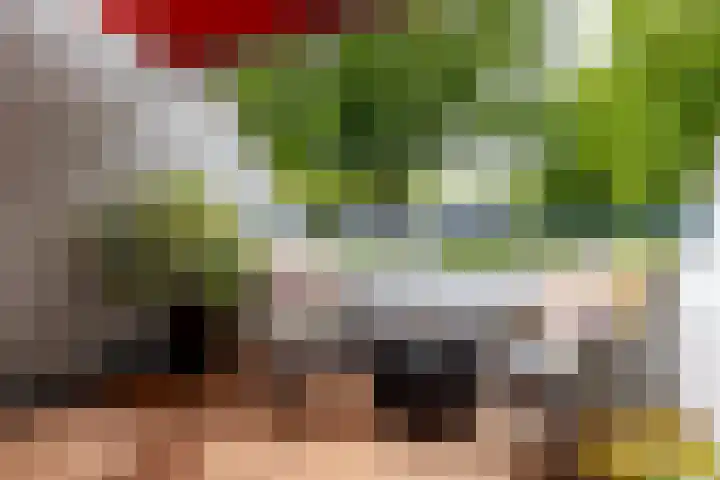 Hoogvlietlaan 14 a Rockanje thumbnail 15