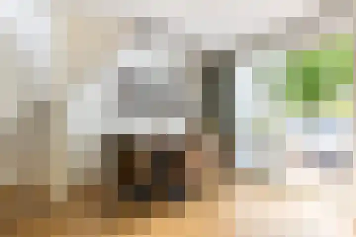 Hoogvlietlaan 14 a Rockanje thumbnail 17