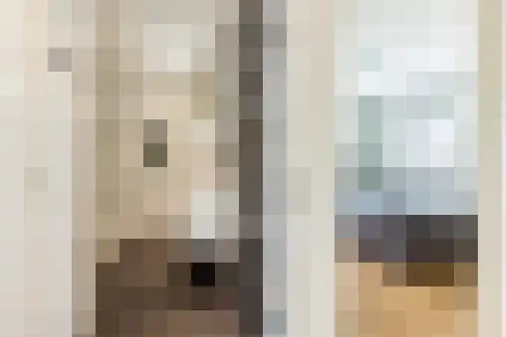 Hoogvlietlaan 14 a Rockanje thumbnail 21