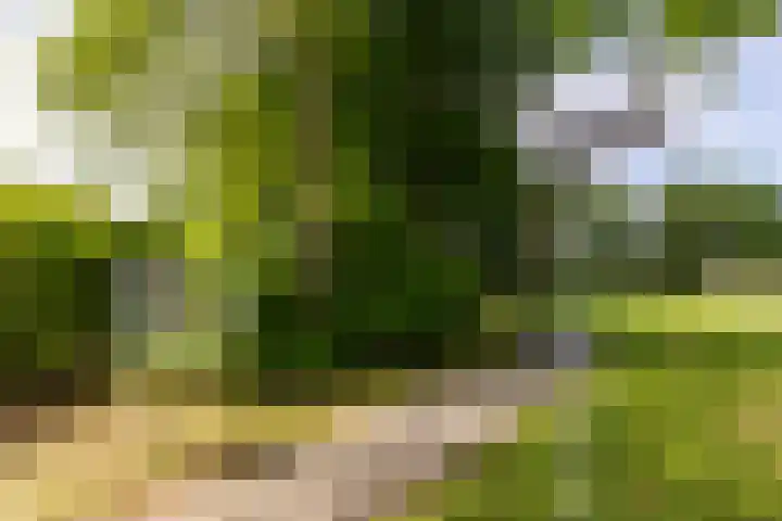 Hoogvlietlaan 14 a Rockanje thumbnail 31