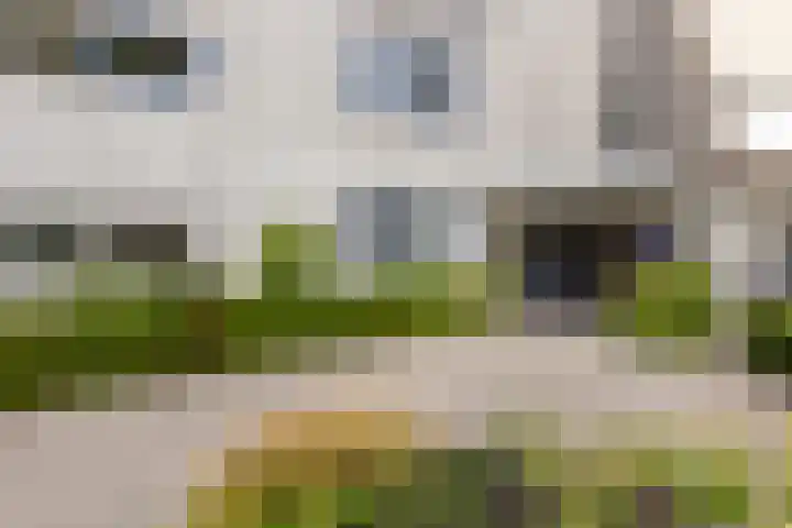 Hoogvlietlaan 14 a Rockanje thumbnail 6