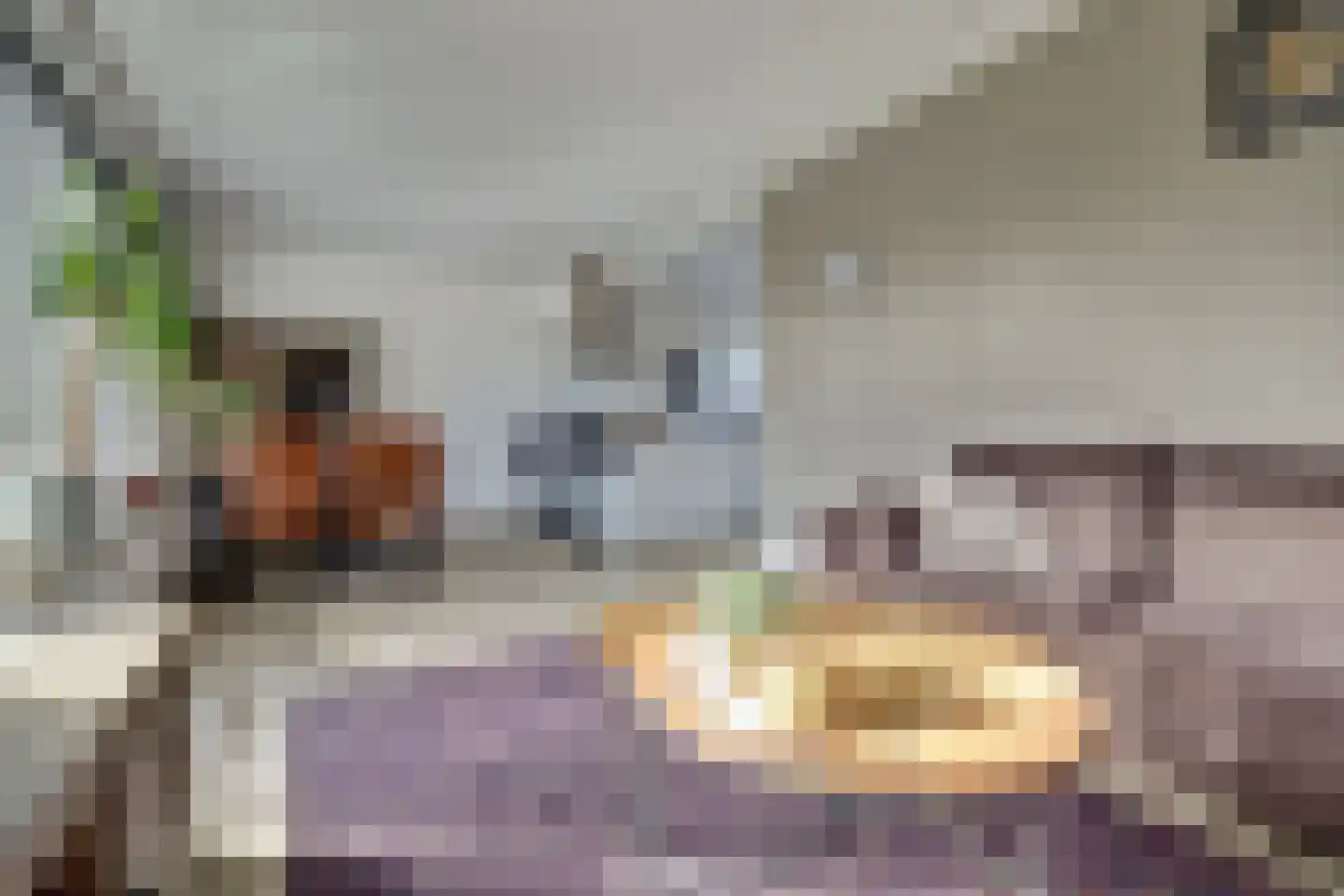 Hoogvlietlaan 32 Rockanje thumbnail 10