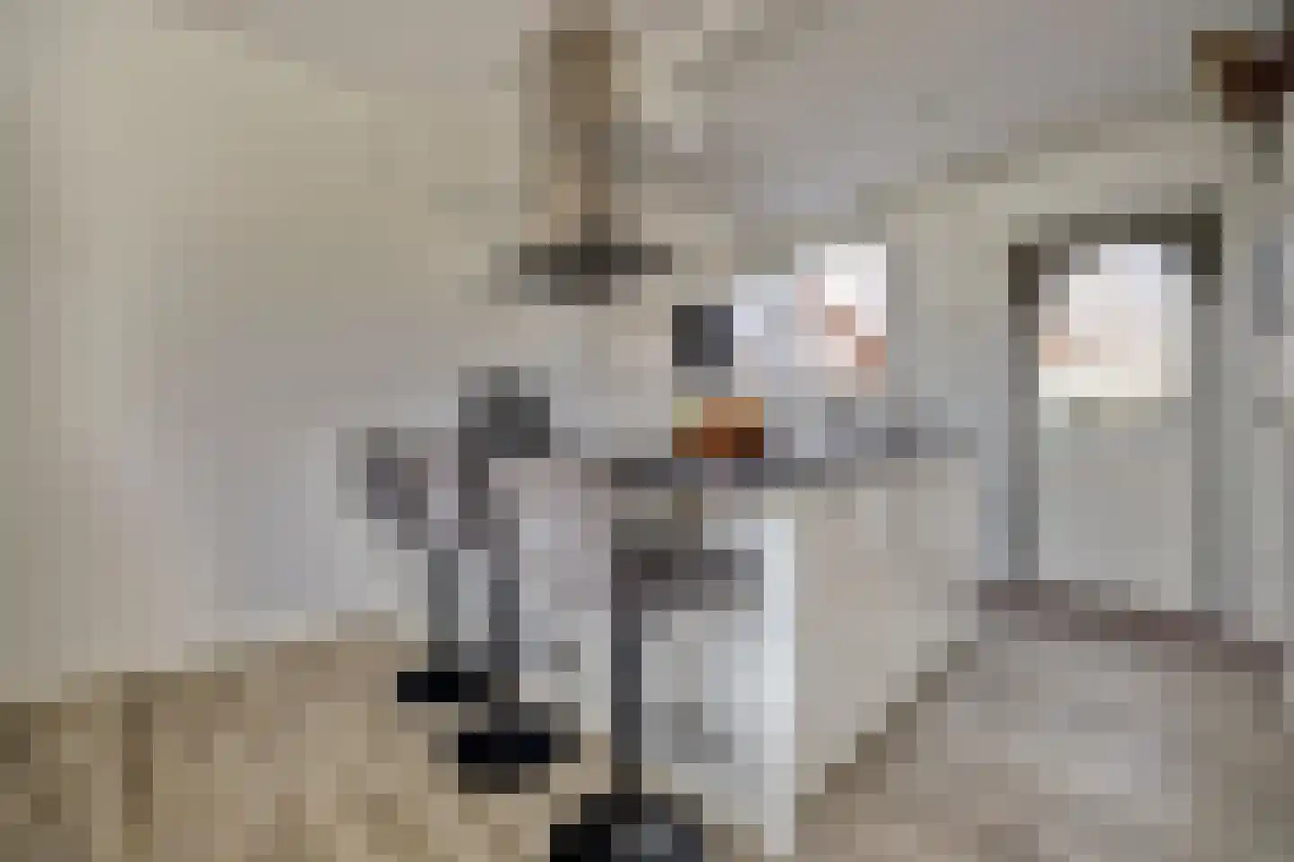 Hoogvlietlaan 32 Rockanje thumbnail 12