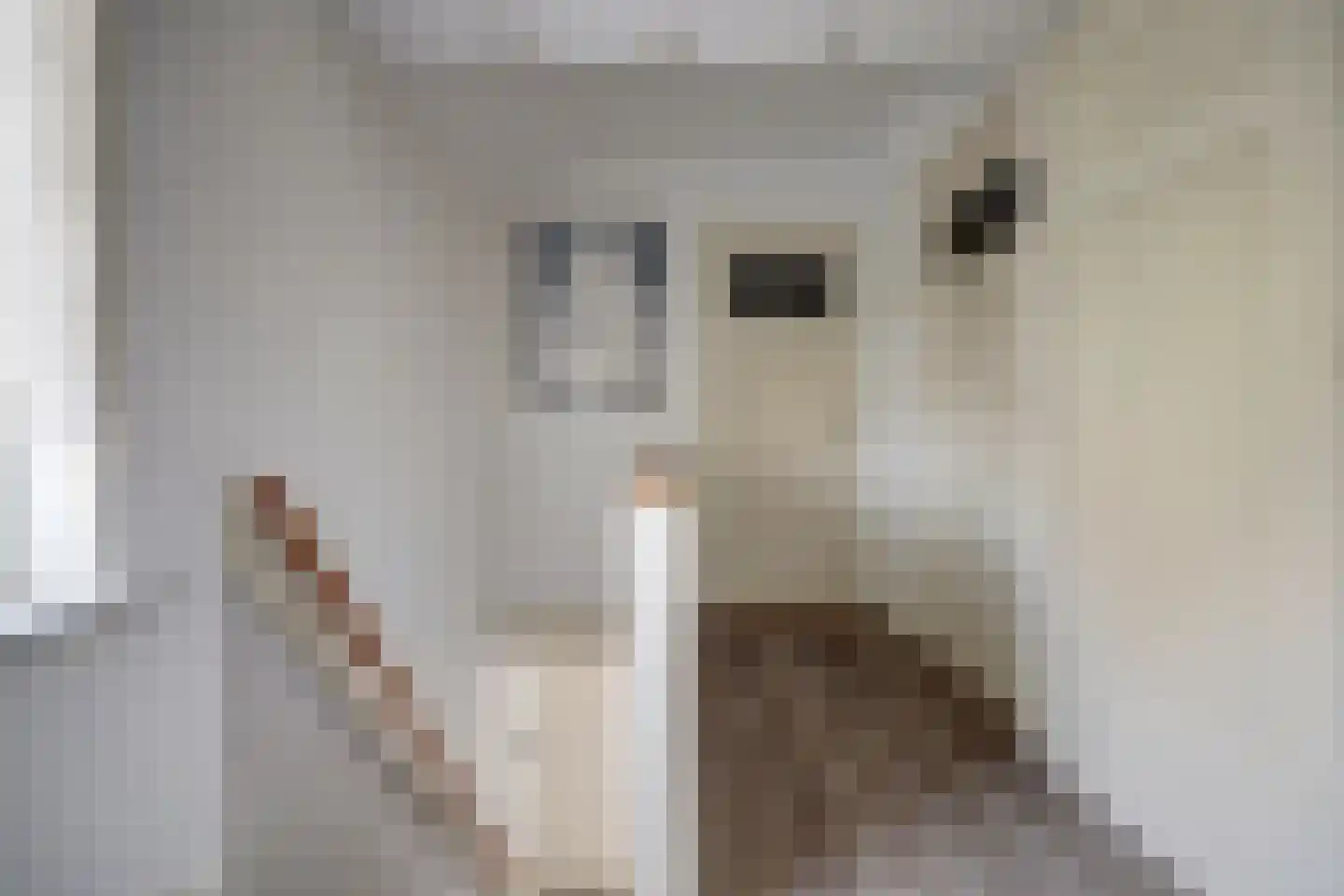 Hoogvlietlaan 32 Rockanje thumbnail 17