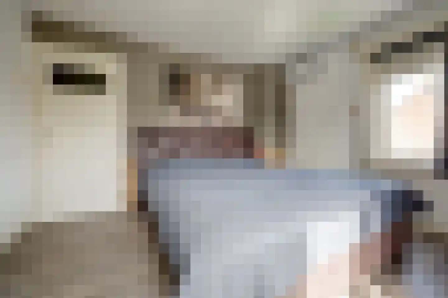 Hoogvlietlaan 32 Rockanje thumbnail 23