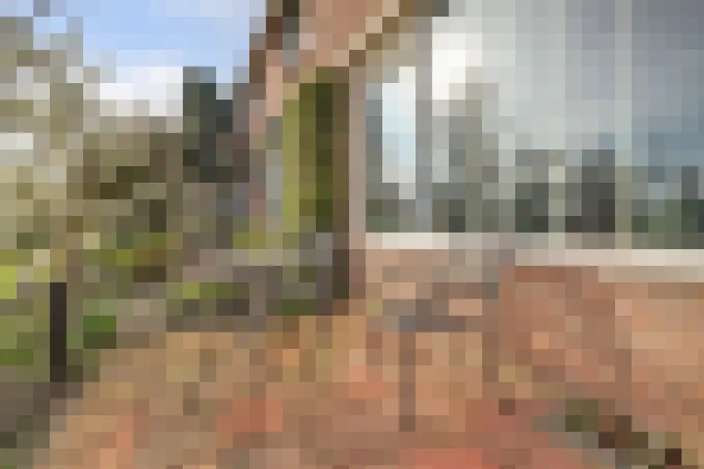 Hoogvlietlaan 32 Rockanje thumbnail 34