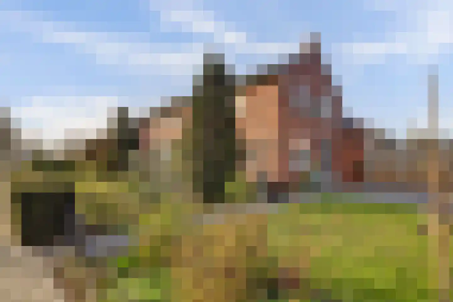 Hoogvlietlaan 32 Rockanje thumbnail 41