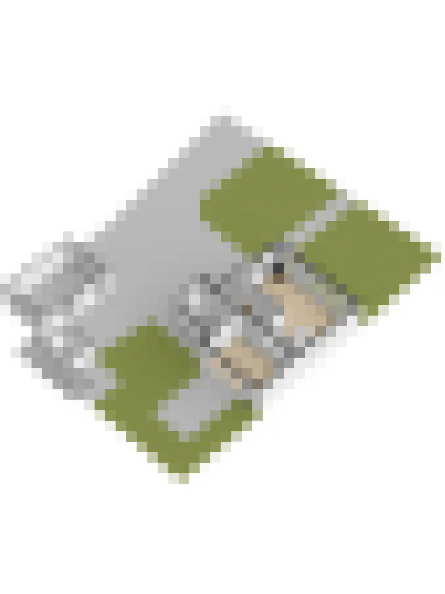 Hoogvlietlaan 32 Rockanje thumbnail 59