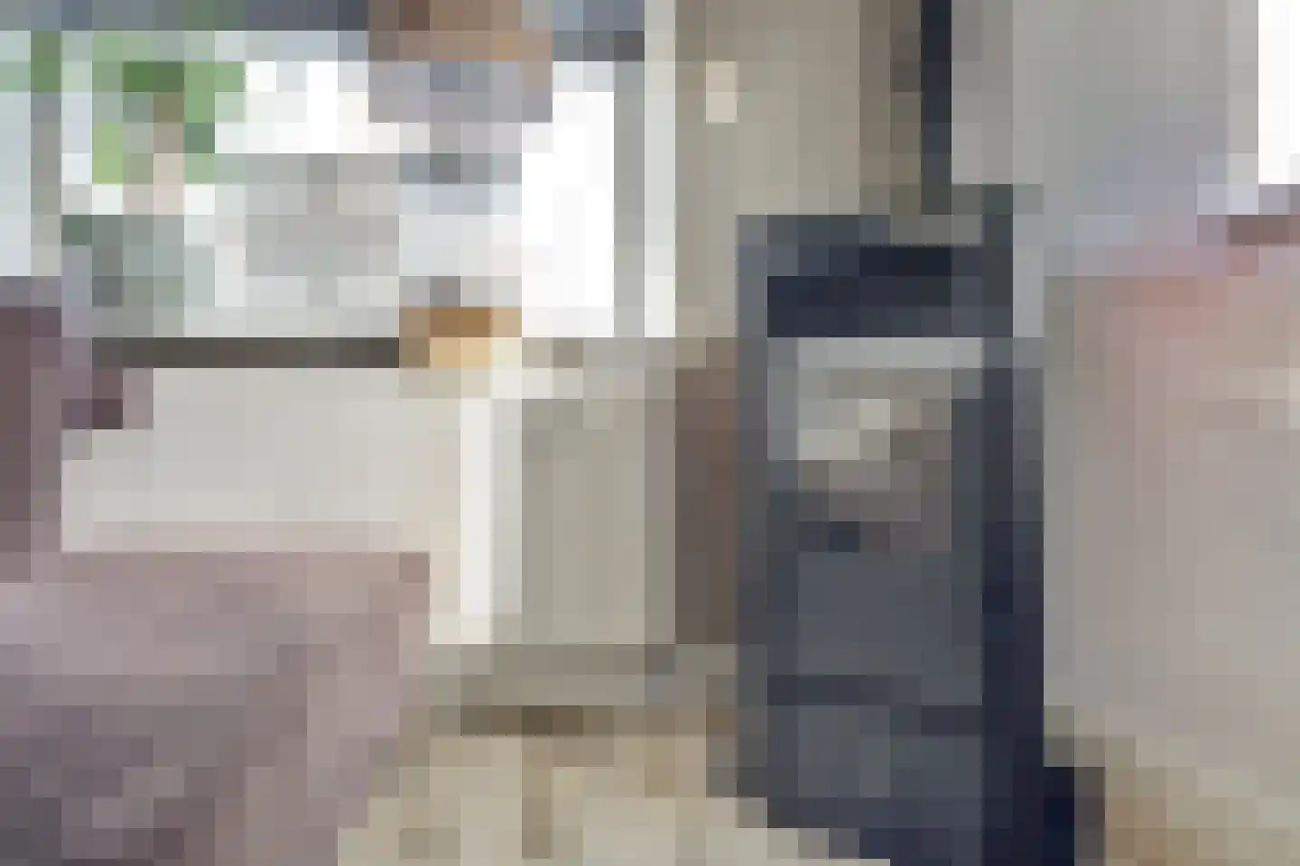 Hoogvlietlaan 32 Rockanje thumbnail 9