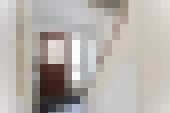 Hoogvlietlaan 51 Rockanje thumbnail 11