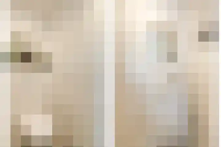 Hoogvlietlaan 51 Rockanje thumbnail 13
