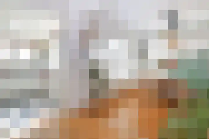 Hoogvlietlaan 51 Rockanje thumbnail 20