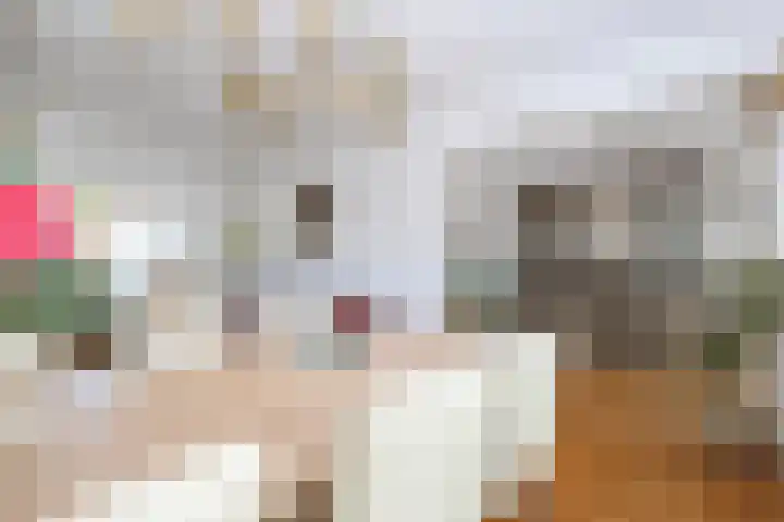 Hoogvlietlaan 51 Rockanje thumbnail 21