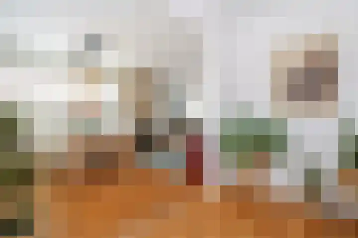 Hoogvlietlaan 51 Rockanje thumbnail 22
