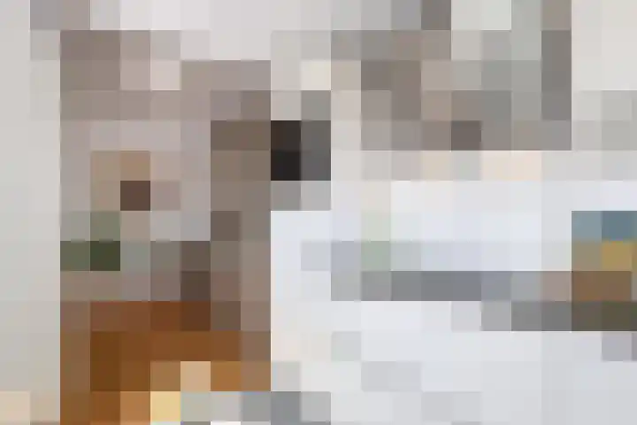 Hoogvlietlaan 51 Rockanje thumbnail 23