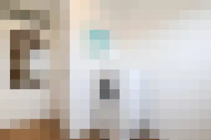Hoogvlietlaan 51 Rockanje thumbnail 29
