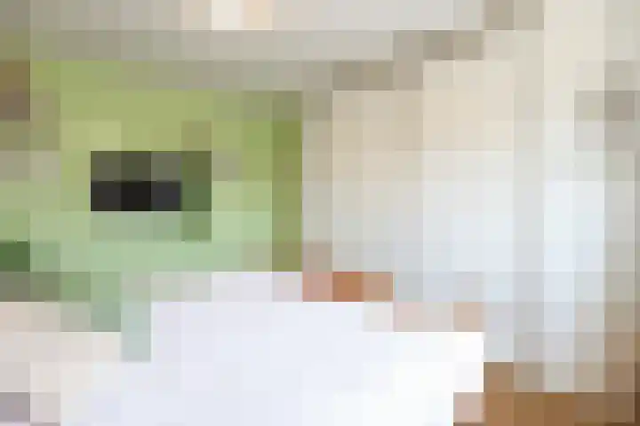 Hoogvlietlaan 51 Rockanje thumbnail 31