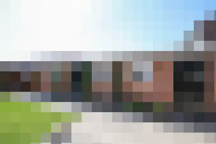 Hoogvlietlaan 51 Rockanje thumbnail 39