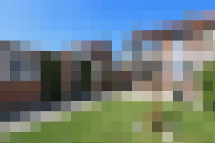 Hoogvlietlaan 51 Rockanje thumbnail 41