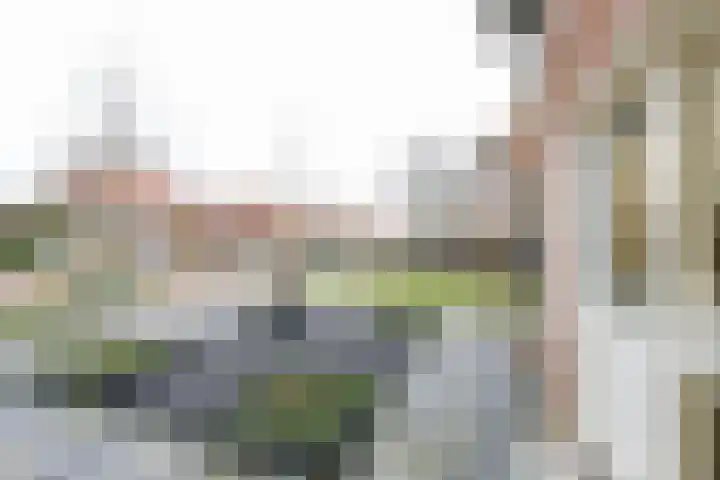 Hoogvlietlaan 53 Rockanje thumbnail 11
