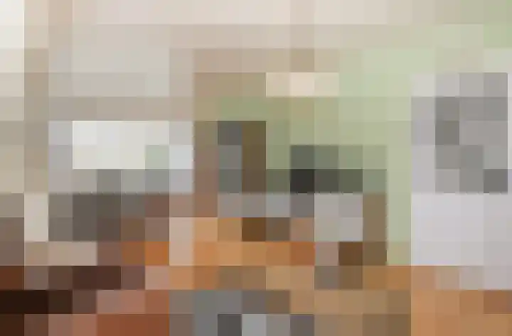 Hoogvlietlaan 53 Rockanje thumbnail 16