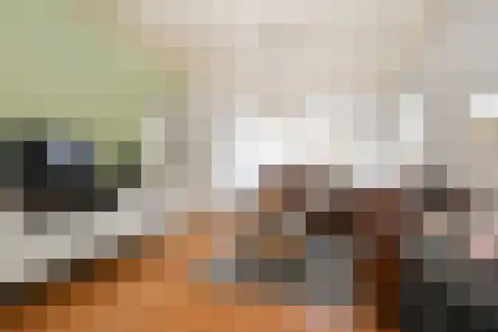 Hoogvlietlaan 53 Rockanje thumbnail 19