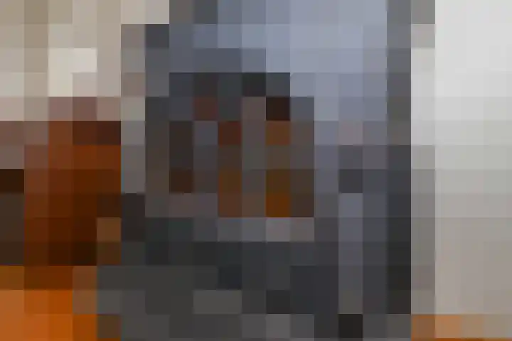 Hoogvlietlaan 53 Rockanje thumbnail 21