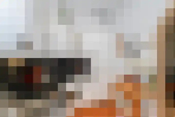 Hoogvlietlaan 53 Rockanje thumbnail 27