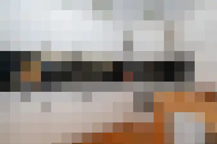 Hoogvlietlaan 53 Rockanje thumbnail 28