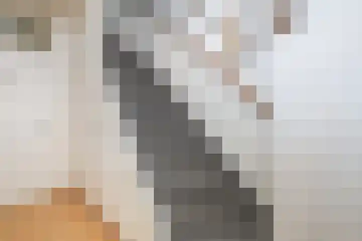 Hoogvlietlaan 53 Rockanje thumbnail 33