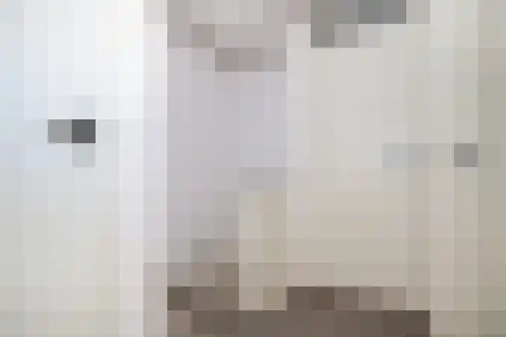 Hoogvlietlaan 53 Rockanje thumbnail 34