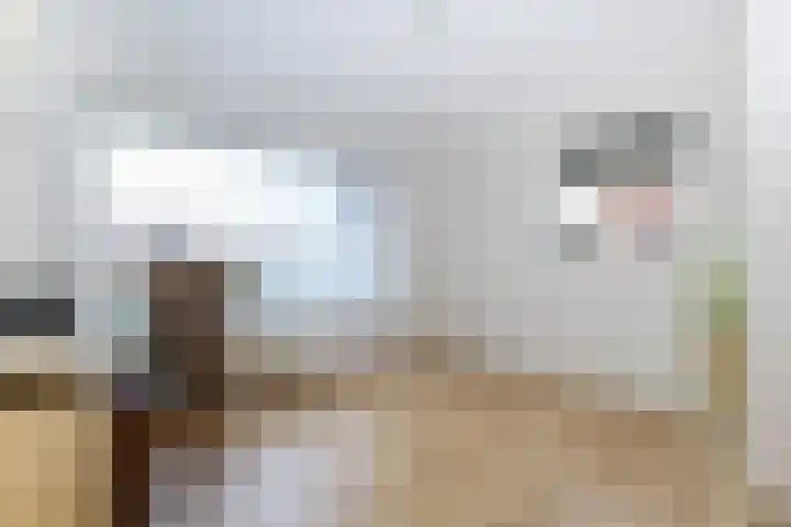 Hoogvlietlaan 53 Rockanje thumbnail 38