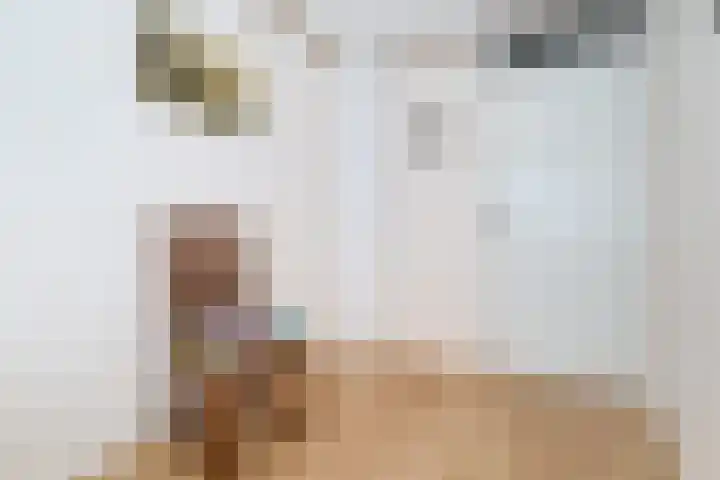 Hoogvlietlaan 53 Rockanje thumbnail 41