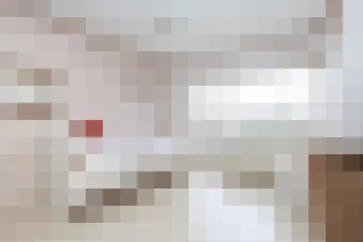 Hoogvlietlaan 53 Rockanje thumbnail 42